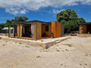Beachfront Bliss - Vortex2VB